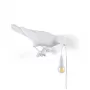 Bird Looking Right White