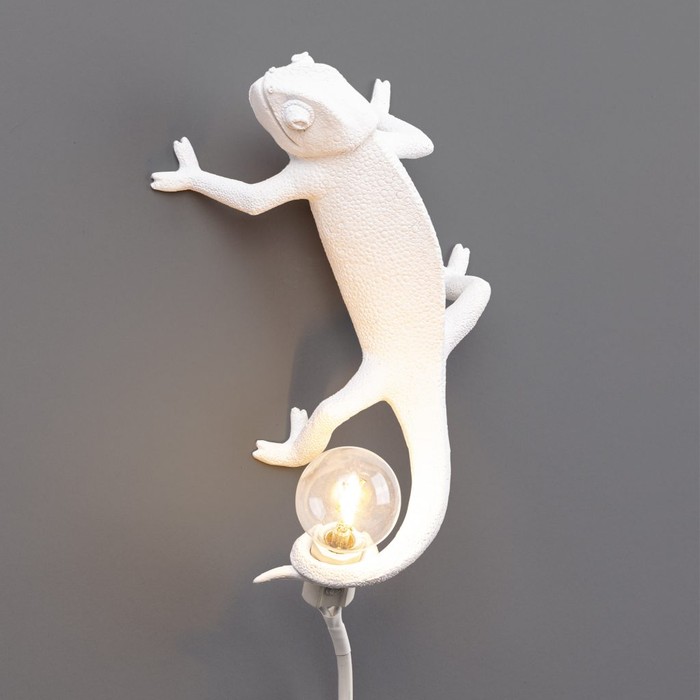 Chameleon Going Up USB