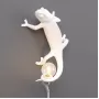 Chameleon Going Up USB