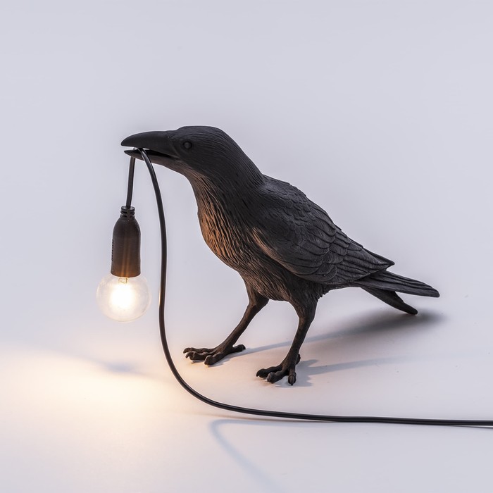 Bird Waiting Black