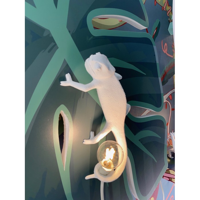 Chameleon Going Up USB