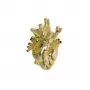 Love in Bloom Gold Gaint