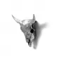 Wunderkammer Bison Skull