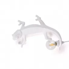 Chameleon Going Up USB