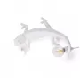Chameleon Going Up USB