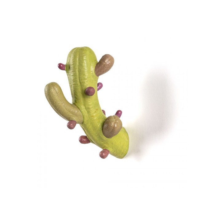 Cactus Coloured