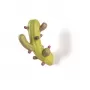 Cactus Coloured
