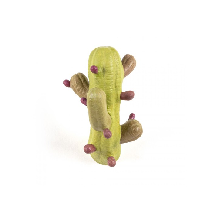 Cactus Coloured