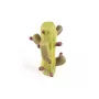 Cactus Coloured