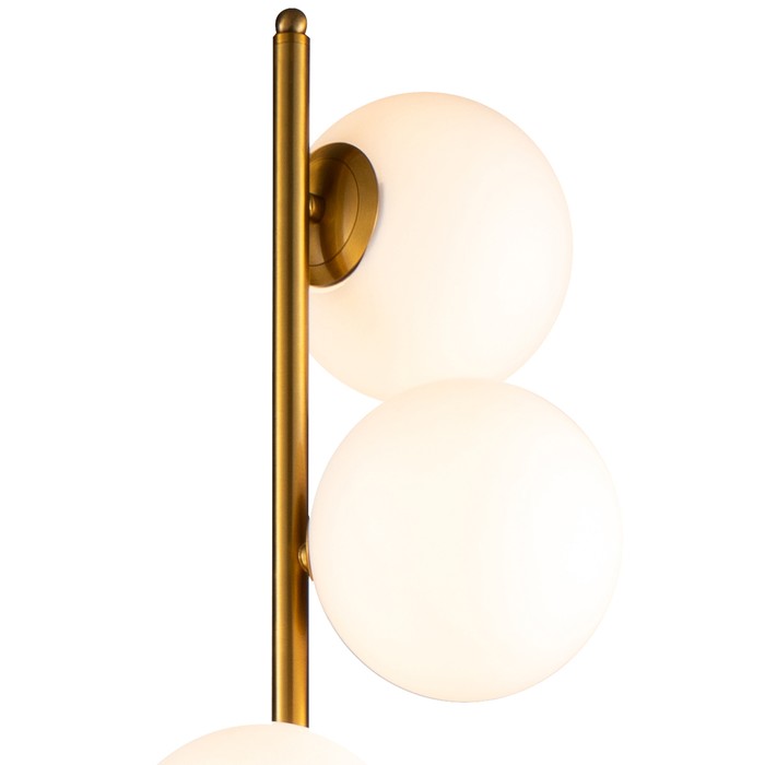 Tempo brass