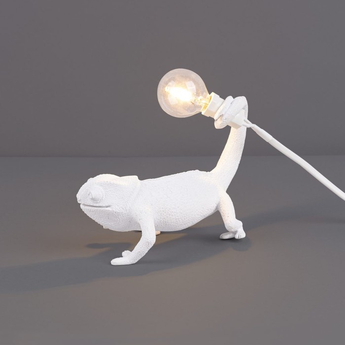 Chameleon Still USB