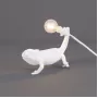 Chameleon Still USB