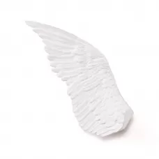 Wing Right