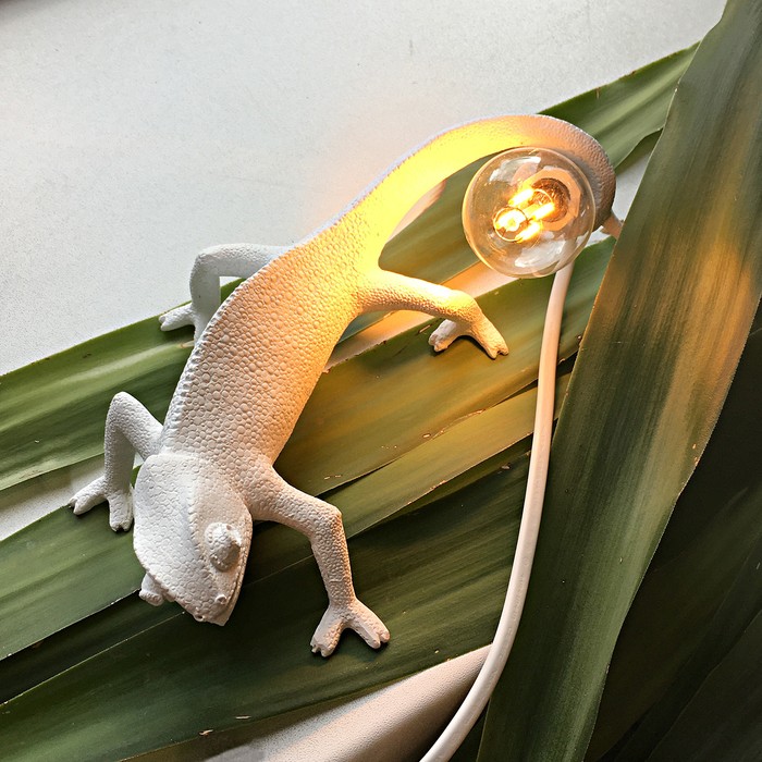 Chameleon Going Up USB