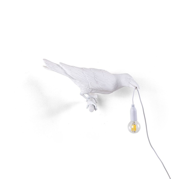 Bird Looking Right White