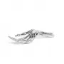 Wunderkammer Skeleton Hand