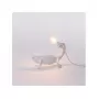 Chameleon Still USB