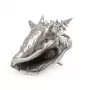 Wundekammer Shell