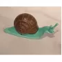 Snail Awake Green