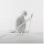 Monkey Lamp Outdoor Sitting
