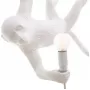 The Monkey Lamp Swing White