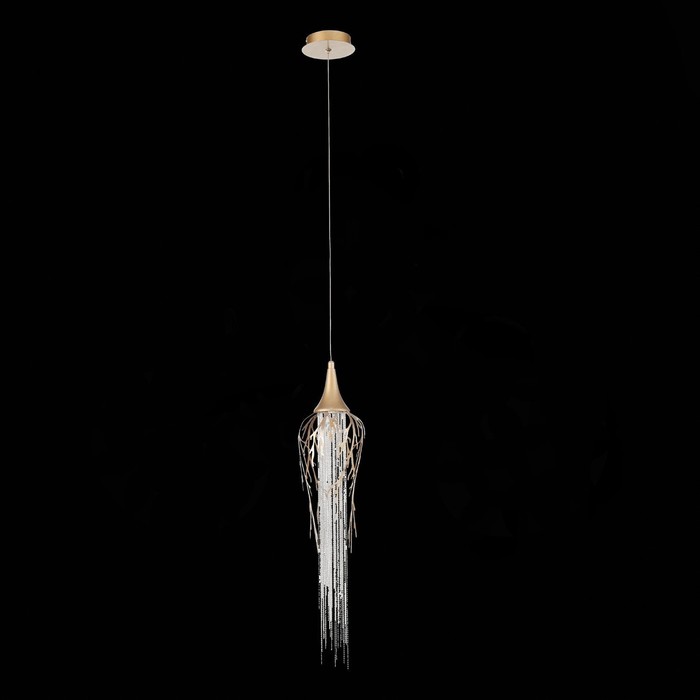 SL1116.203.01