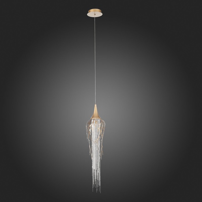 SL1116.203.01