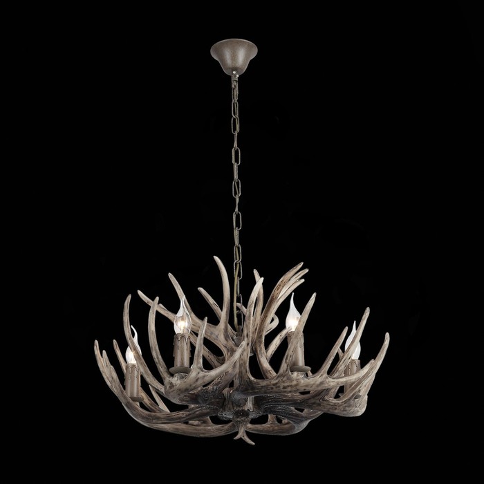 SL154.703.06