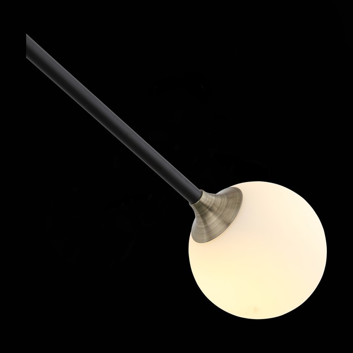 SL429.403.02