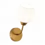SLE1136-301-01