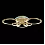 SLE200322-06RGB