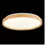 SLE201382-01