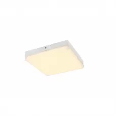 41653