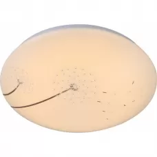 41592