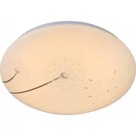 41592