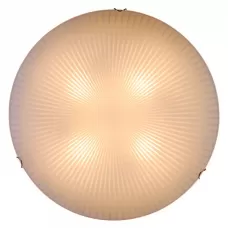 40602
