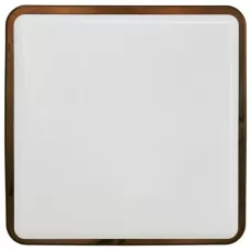 3121