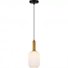 TL1221H-01SW