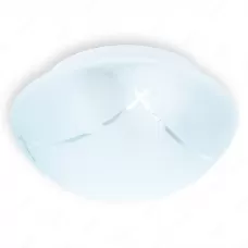 TL9411Y-01WH