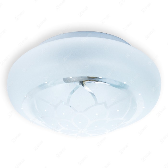 TL9551Y-01WH