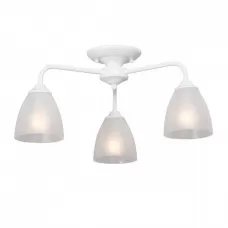 V3946-0/3PL
