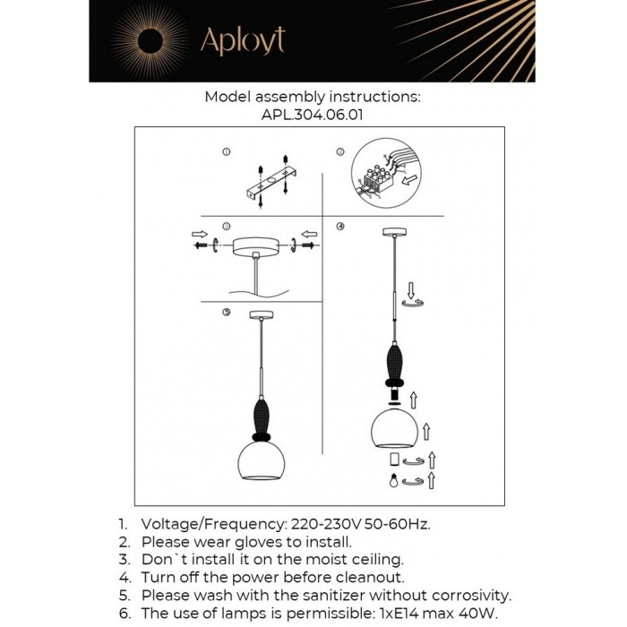 APL.304.06.01