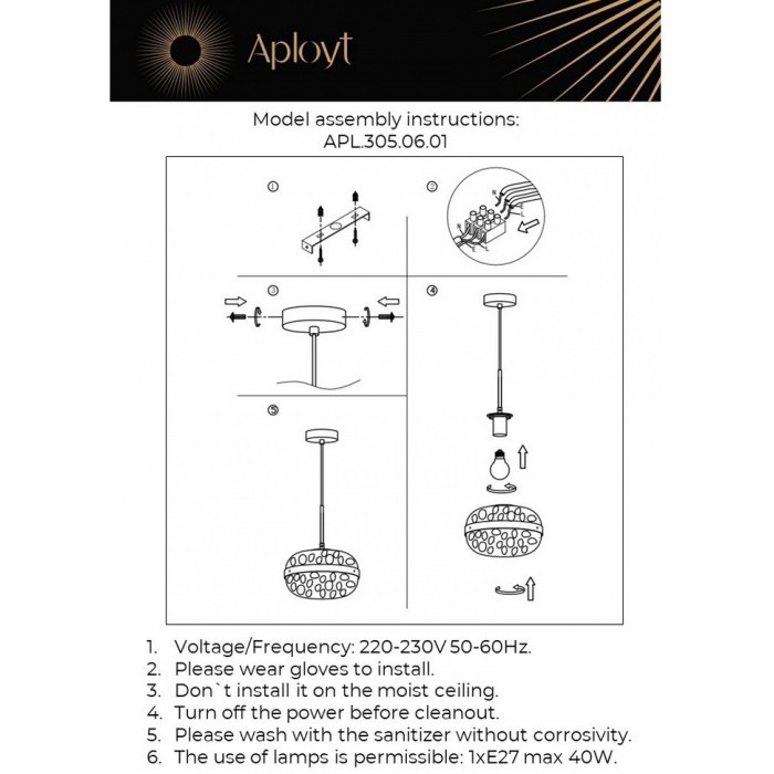 APL.305.06.01