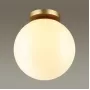 4248/1C