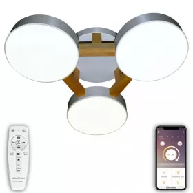LED LAMPS 81327