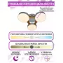 LED LAMPS 81327