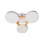 LED LAMPS 81327