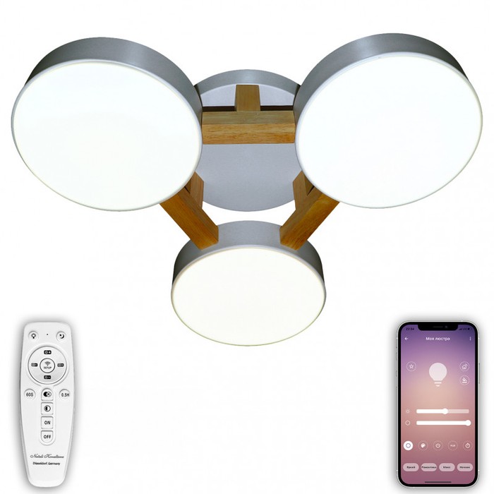 LED LAMPS 81327