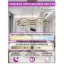 LED LAMPS 81286