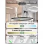 LED LAMPS 81295
